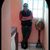 El_Alce